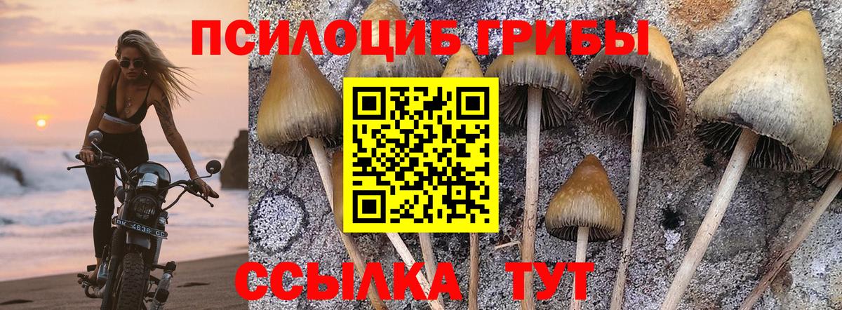 Псилоцибиновые грибы Magic Shrooms Саров
