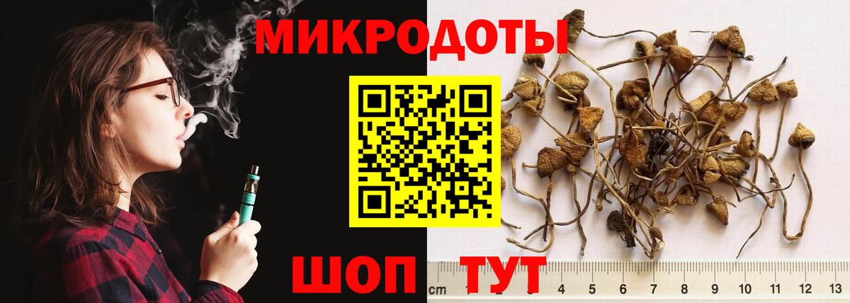 Саров  Псилоцибиновые грибы GOLDEN TEACHER  Вход с VPN  Псилоцибиновые грибы Magic Shrooms 